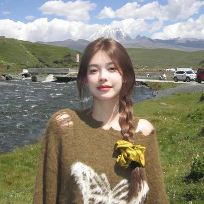 翼龙